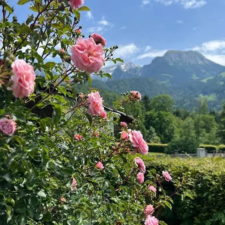 Hochfeld Lägenhetshotell *